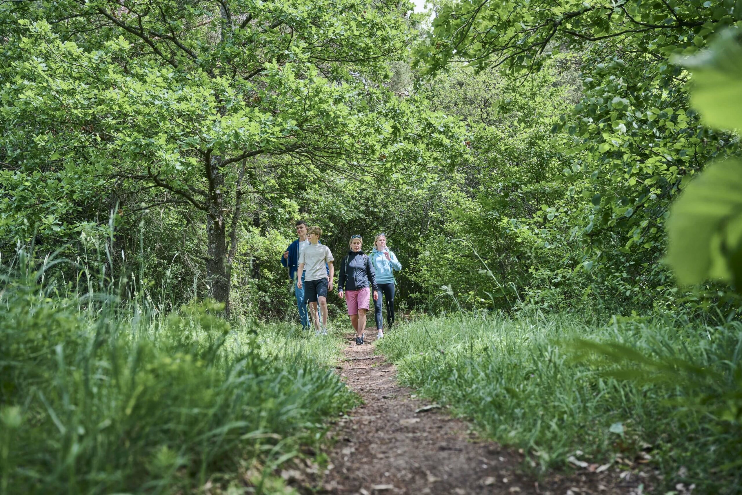 Familie beim Wandern Donau-Panoramaweg Bad Abbach