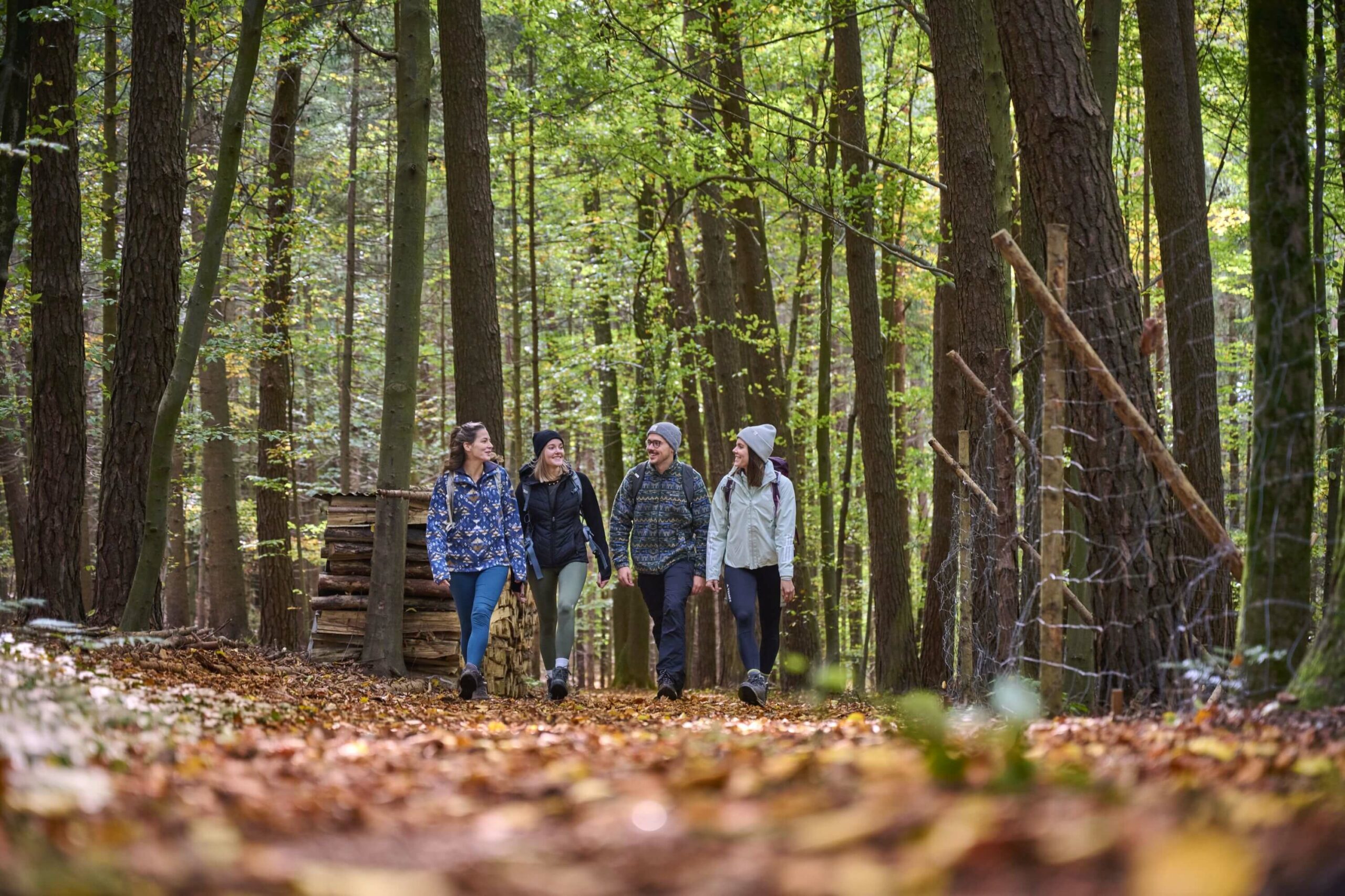 Wandergruppe im Wald Rottal-Inn