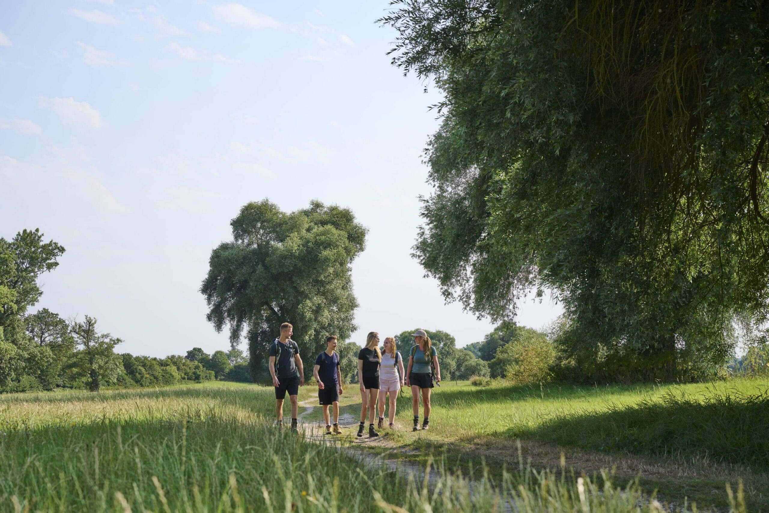 Wandern am Donaupanoramaweg