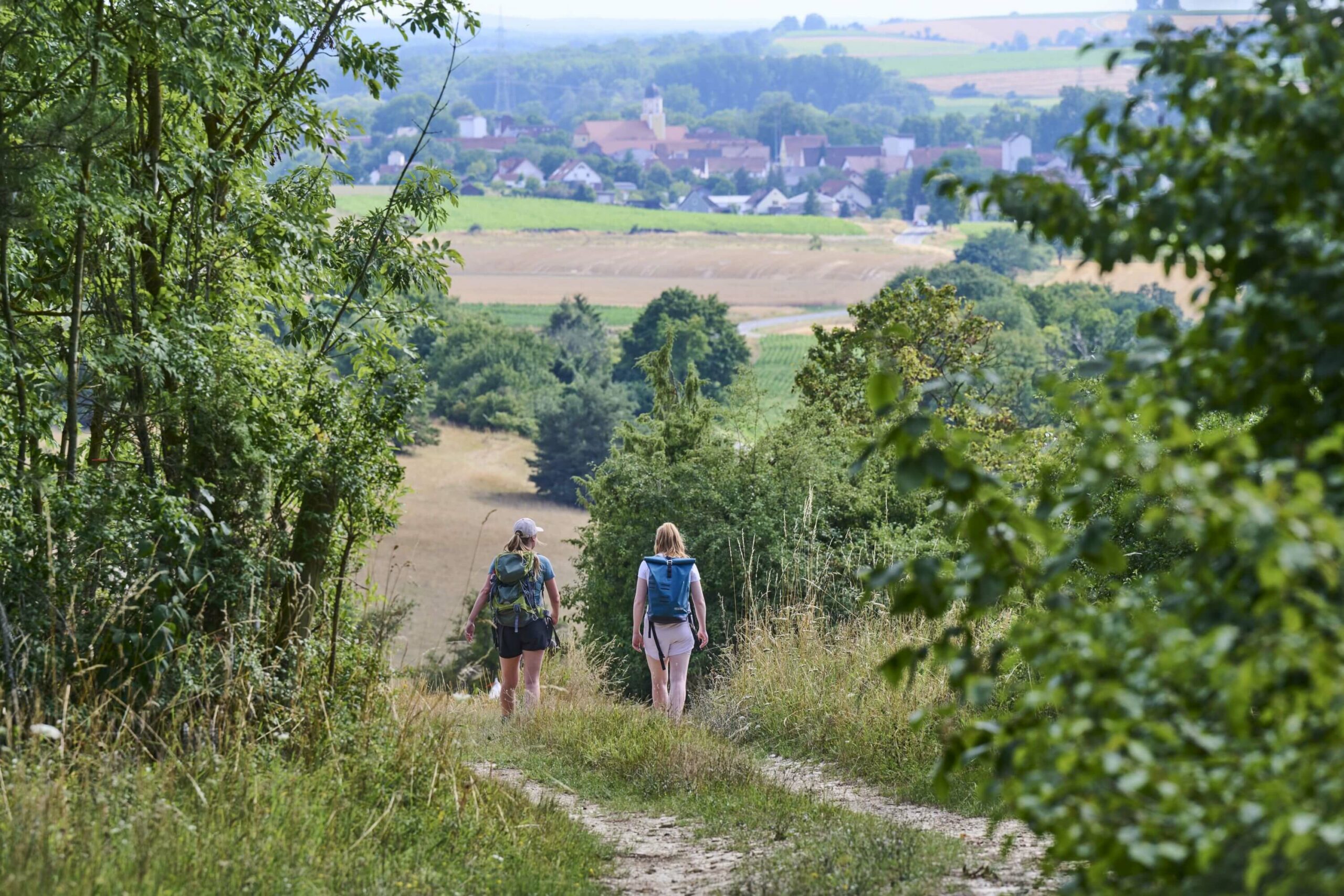 Wandernde Personen gehen einen Weg hinunter